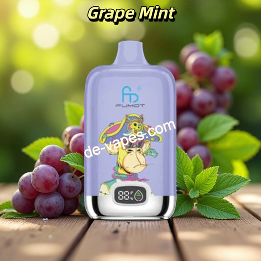 Grape Mint Randm Digital Box 12000
