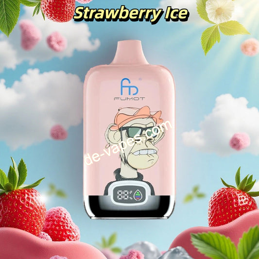 Strawberry Ice Randm Digital Box 12000 Puffs