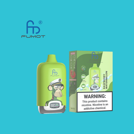 Raspberry Watermelon Randm Digital Box 12000 Puffs