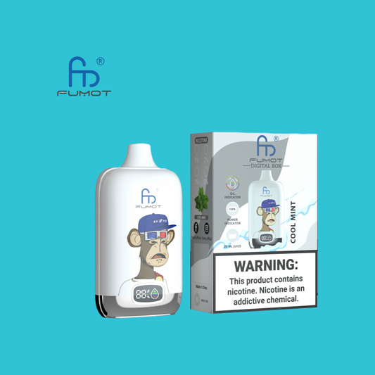 Cool Mint Randm Digital Box 12000