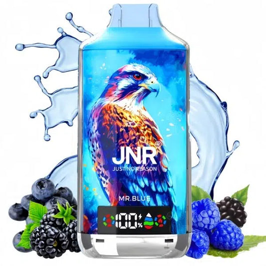 JNR Falcon-X 18000 Züge - Mr.Blue 24ml E-Liquid