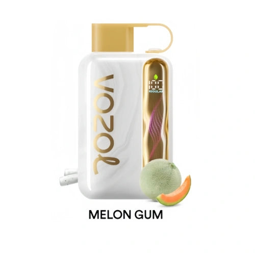 Vozol Star 40000 Dual-Mode-Einweg-E-Zigarette - Melon Gum