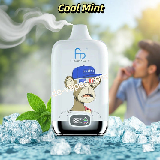 Cool Mint Randm Digital Box 12000 