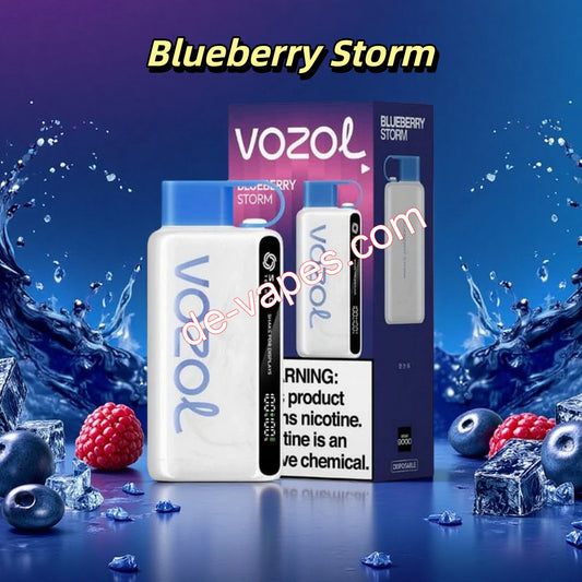 Blueberry Storm Vozol Star 12000 Puffs 