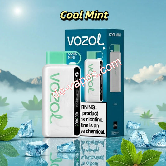 Cool Mint Vozol 12000 Einweg-E-Zigarette 