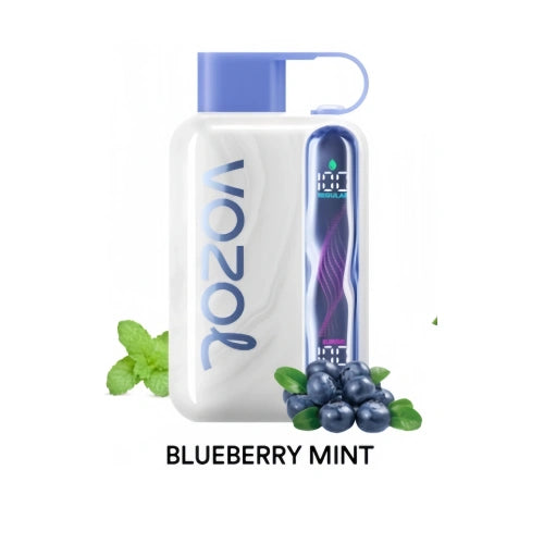 VOZOL STAR 40000 Vape - Blueberry Mint