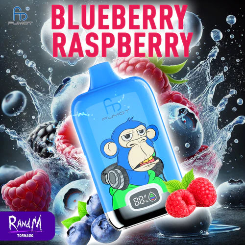 RandM Digital Box 12000 Puffs Blueberry Raspberry
