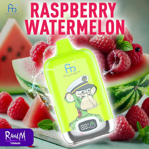 Randm Digital Box 12000 Puffs Raspberry Watermelon